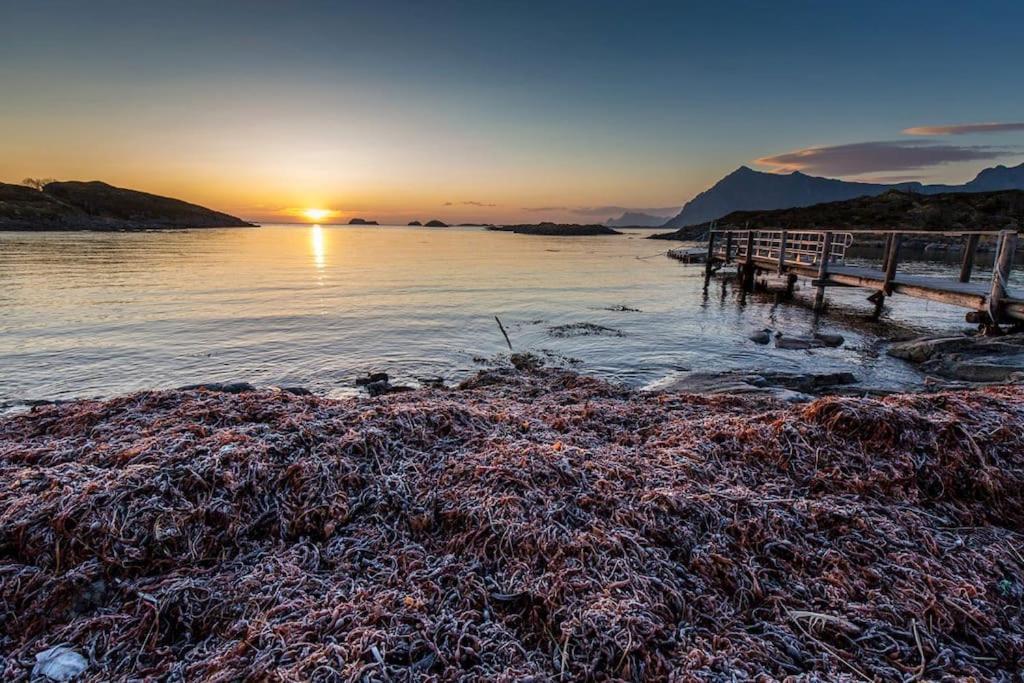 Lofoten - New Apartment, Close To Airport. Лекнес Екстериор снимка