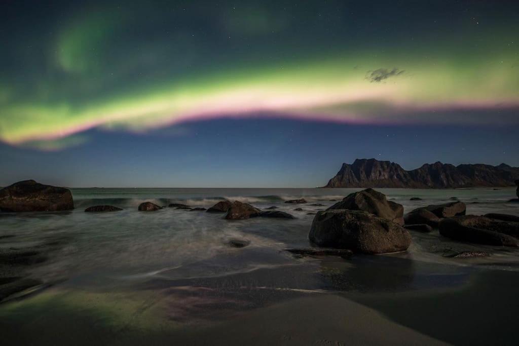 Lofoten - New Apartment, Close To Airport. Лекнес Екстериор снимка